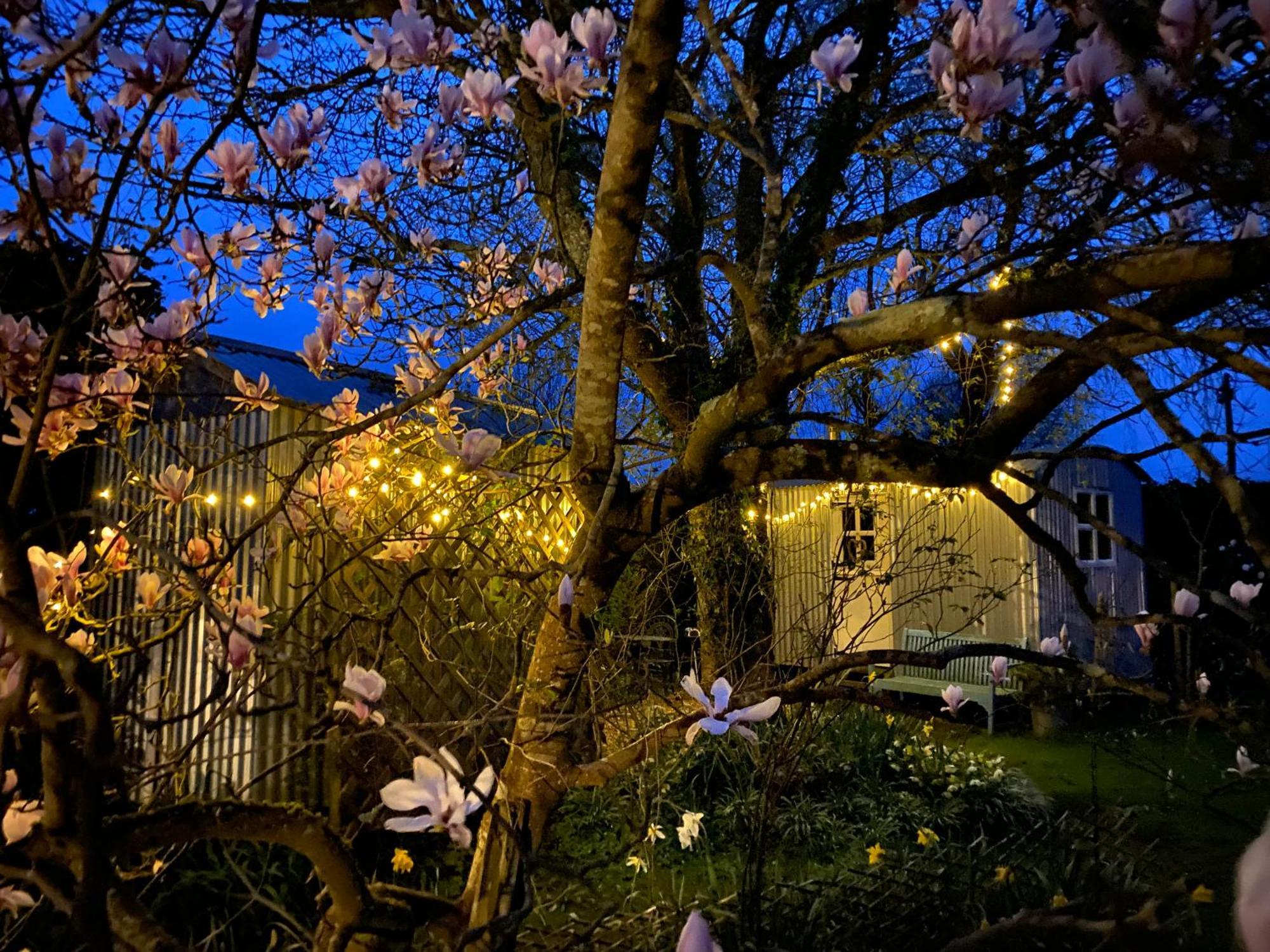 The Wayside Shepherd Hut Beaulieu Exterior foto